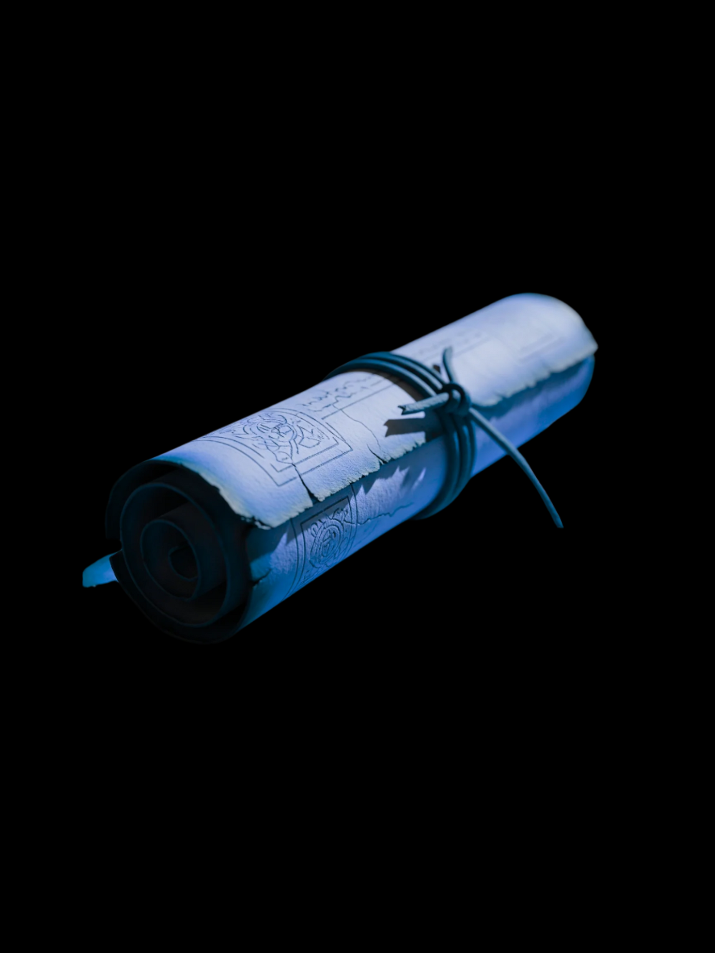 Elite Back & Biceps Workout Blueprint